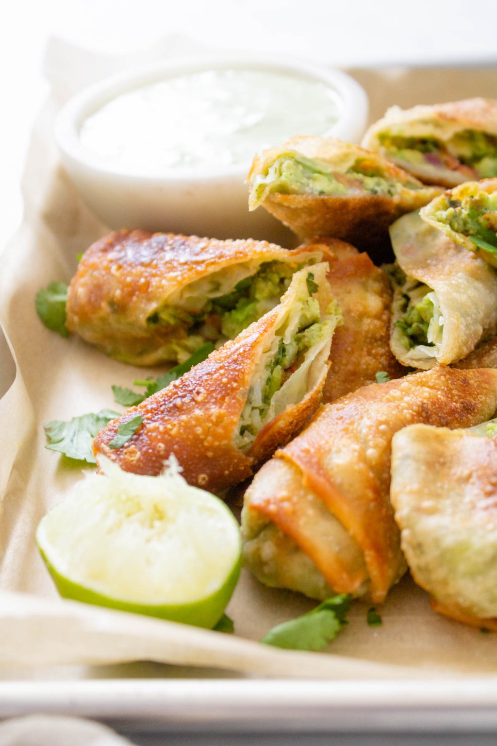 vegan appetizer recipes vegan appetizer recipes