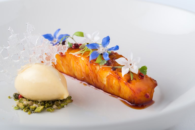 Gourmet Vegan Recipes Gourmet Vegan Recipes