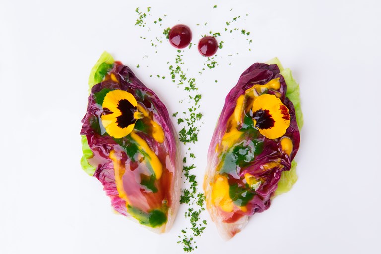 Gourmet Vegan Recipes Gourmet Vegan Recipes