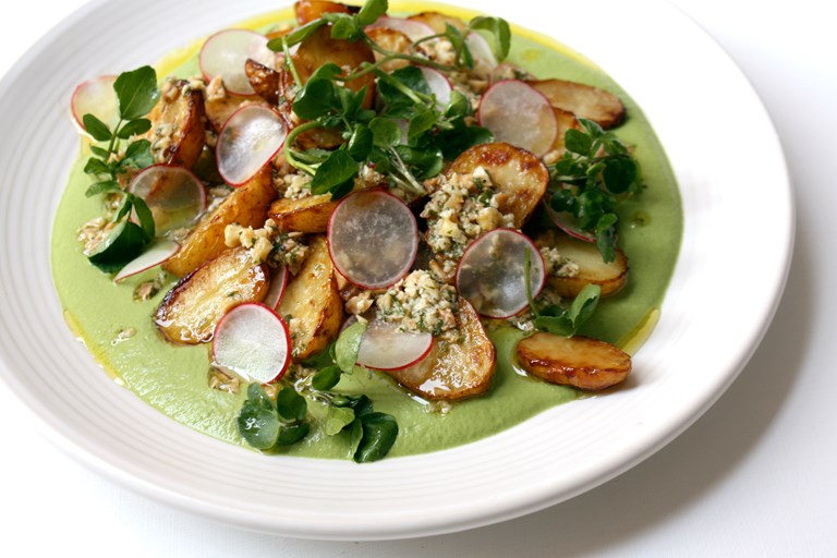 Gourmet Vegan Recipes Gourmet Vegan Recipes