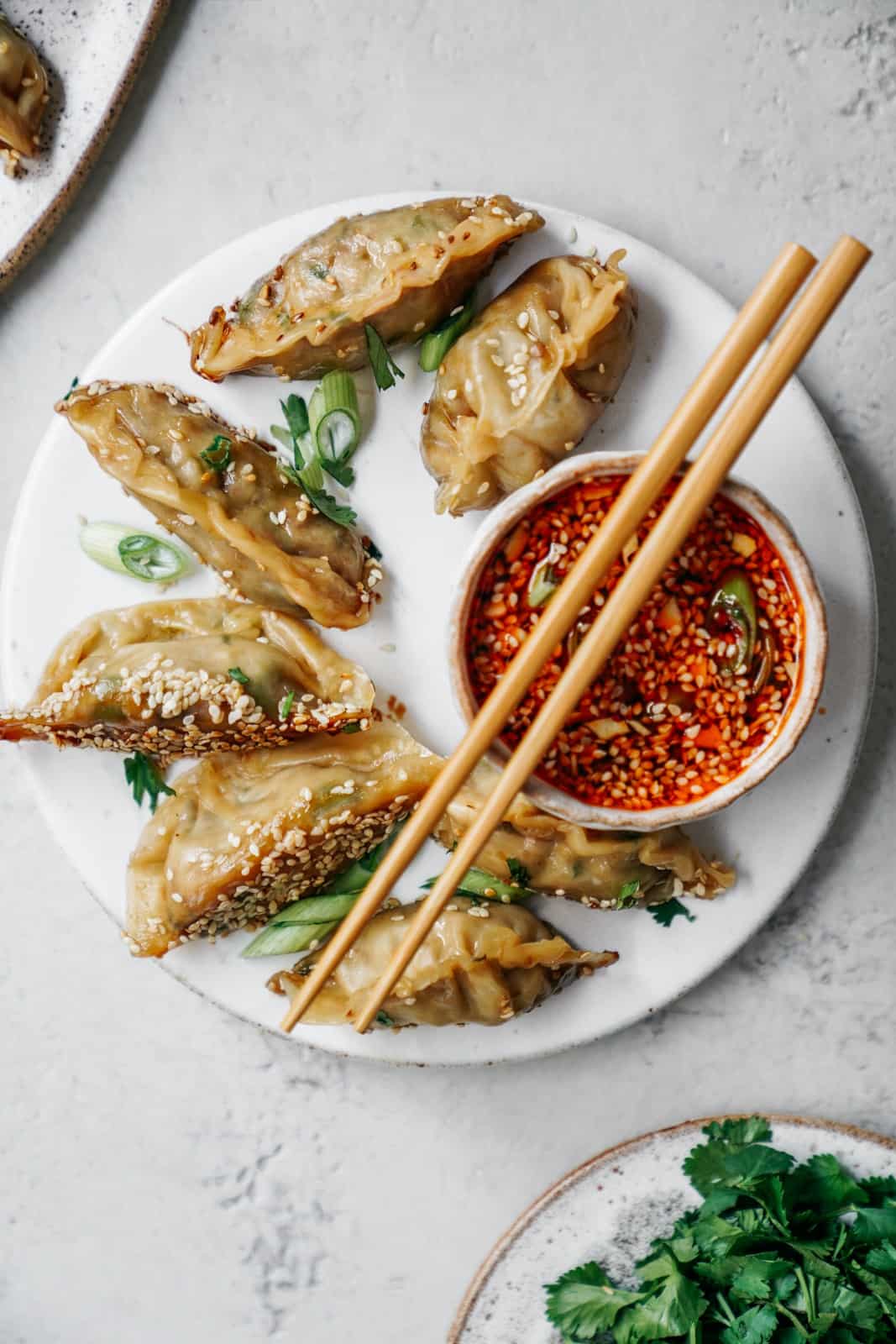 vegan potstickers vegan potstickers